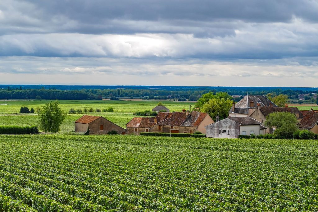 Świat wina, winnica Burgundia, Francja