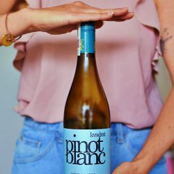 Kvadrat - Pinot Blanc