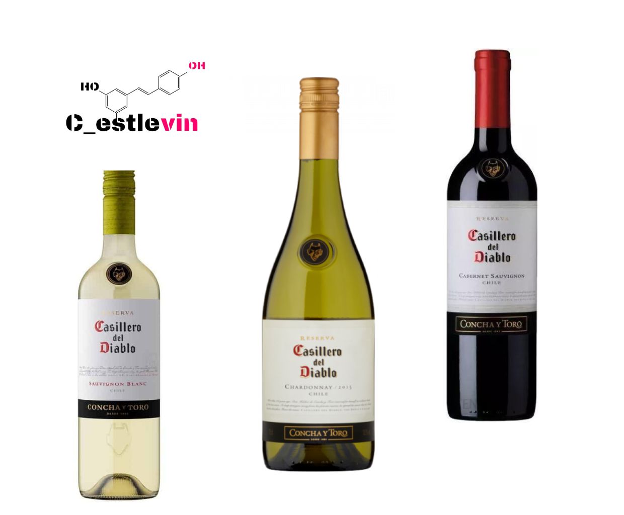 Tajemnicze Wino Casillero del Diablo - Poznaj Historię