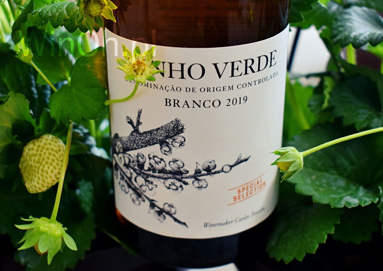 Wina na lato Vinho Verde