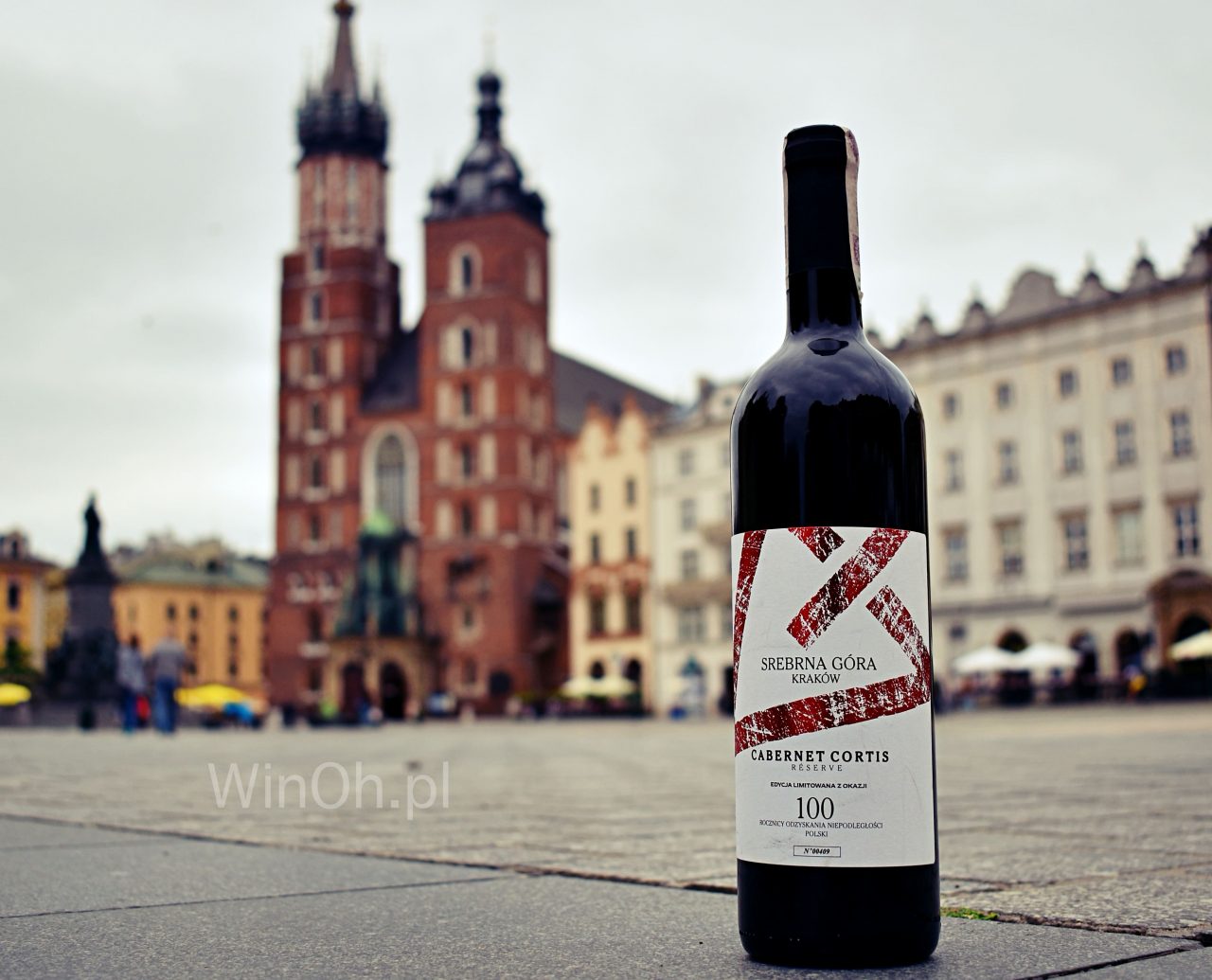 Winnica srebrna Góra
