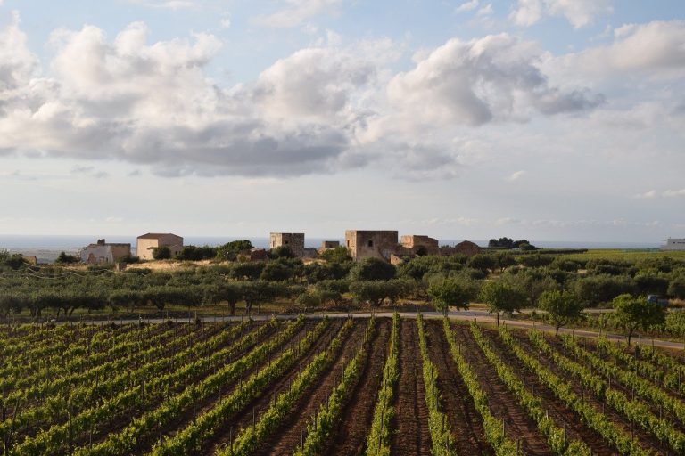 Wino Marsala - miasto na Sycylii