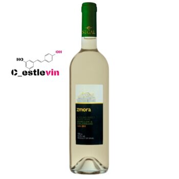 Wino Zmora White: Wyjątkowy Smak Izraelskiego Wina