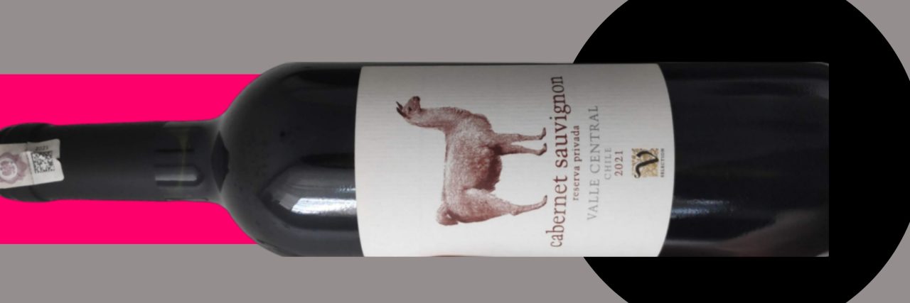 Wino z Lidla - Cabernet z lamą
